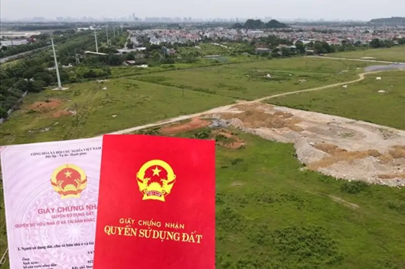 Đất 50 Năm Được Làm Những Gì?