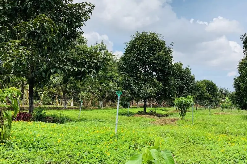Đất Phi Nông Nghiệp Là Gì?