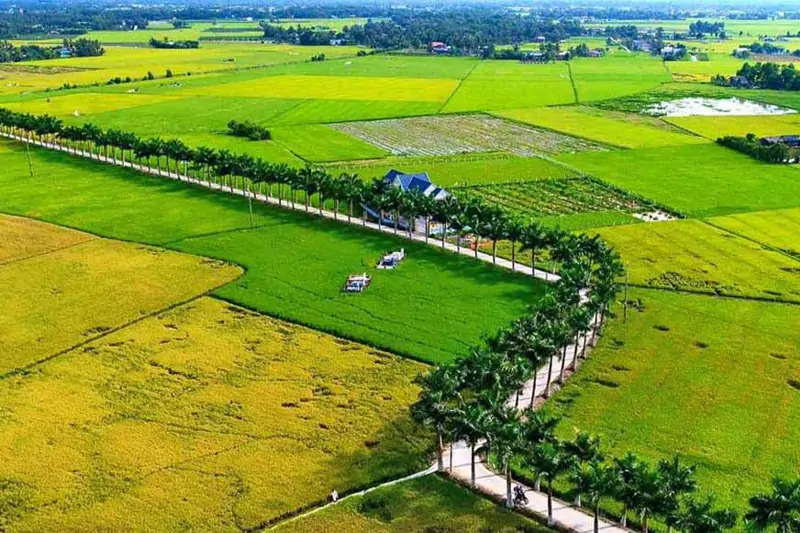 Đất Phi Nông Nghiệp Khác Gì Đất Thổ Cư?
