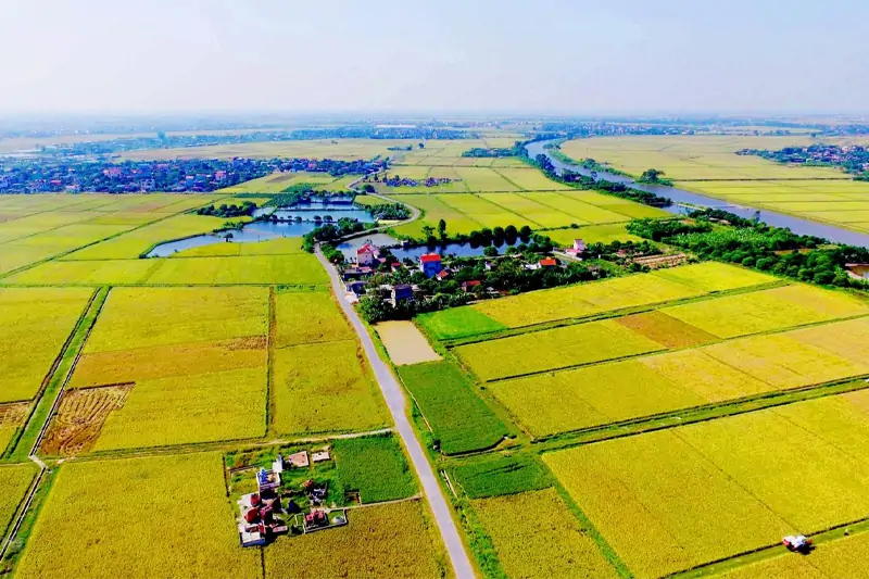 Đất Ruộng Lên Thổ Cư Bao Nhiêu Tiền?