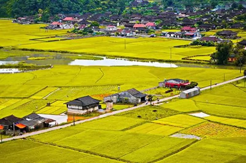 Đất Ruộng Thuộc Loại Đất Gì?