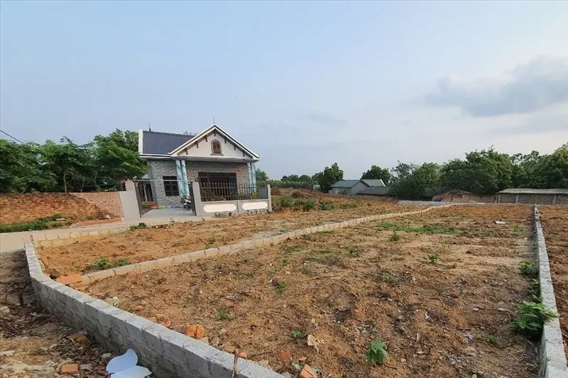 Diện Tích Đất Bao Nhiêu Thì Được Miễn Thuế?