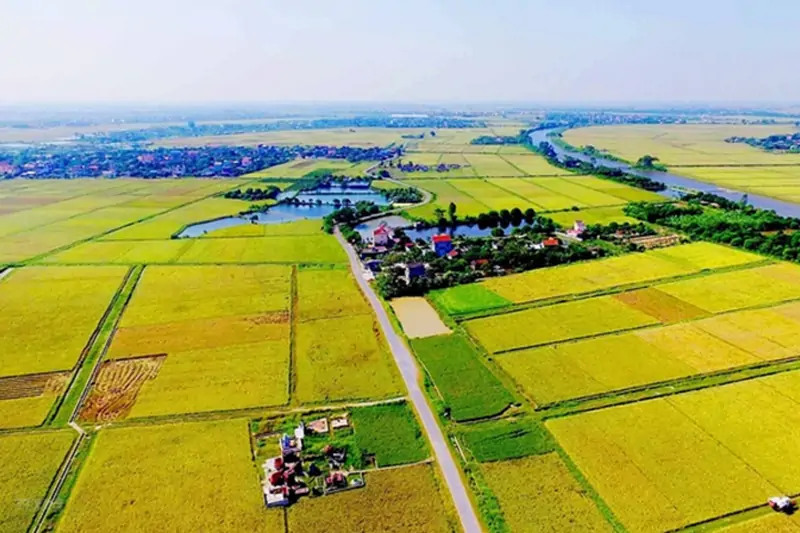 Gia Hạn Sổ Đỏ Đất Nông Nghiệp Bao Nhiêu Tiền?