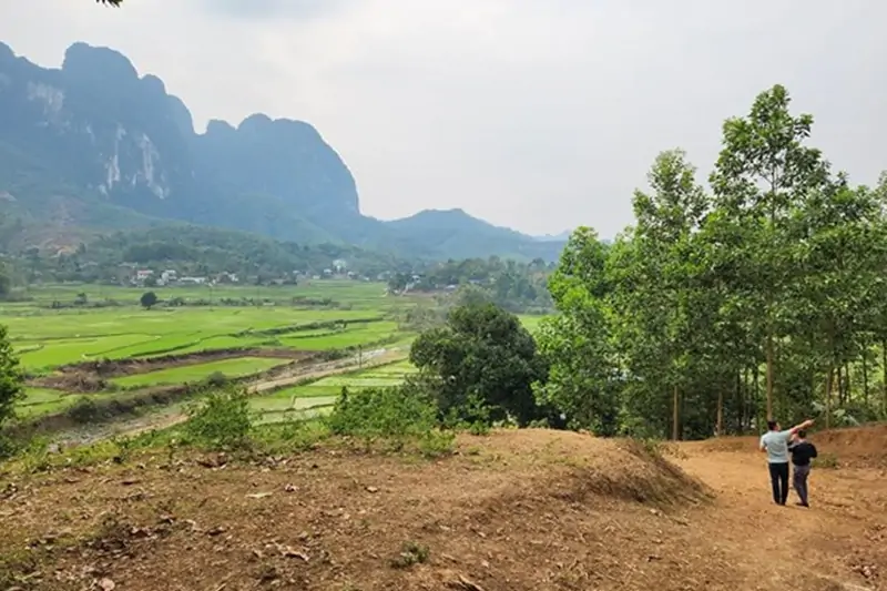 Hủy Hoại Tài Sản Trên Đất Tranh Chấp